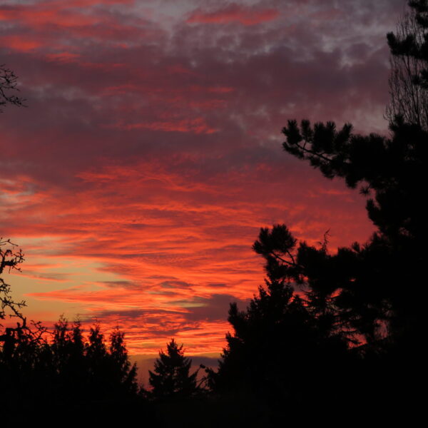 20231128053200_IMG_0269