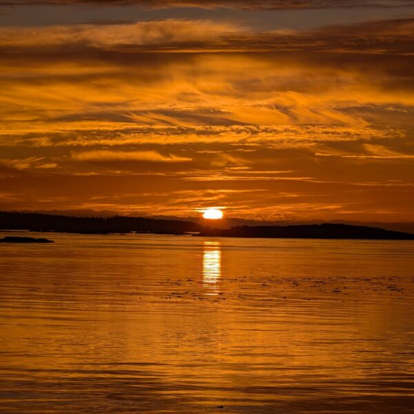 PXL_20240928_141311877.MP