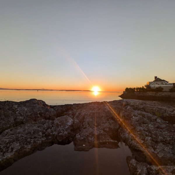 PXL_20241012_143841607