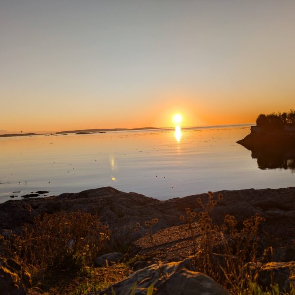 PXL_20241012_144315702