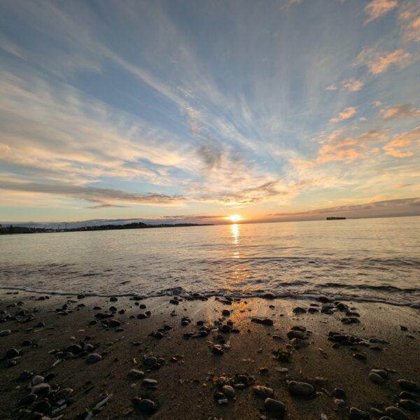 PXL_20241103_151519055