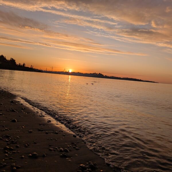 PXL_20250405_135050644.MP