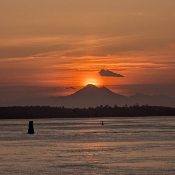 PXL_20250426_131020277