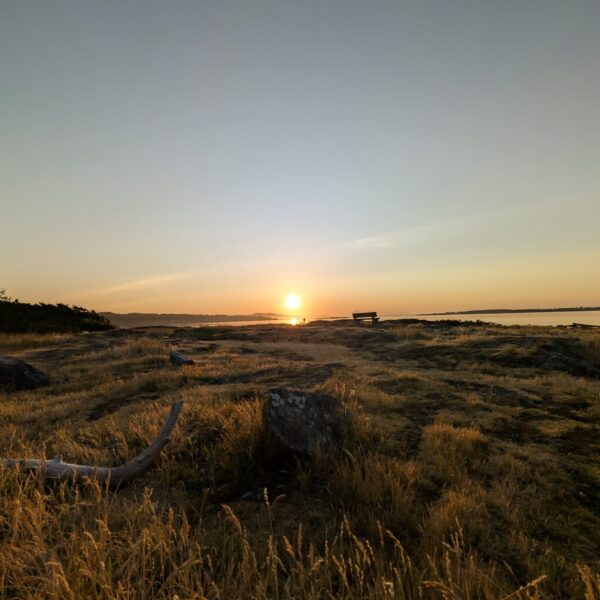 PXL_20250605_124112999