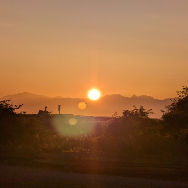 PXL_20250607_122604069